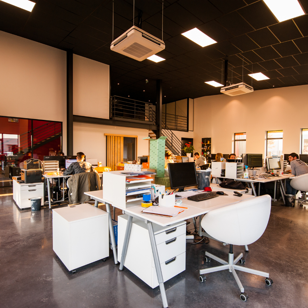 Startups/SME